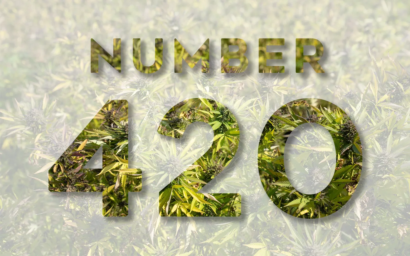 420 Cannabis Friendly